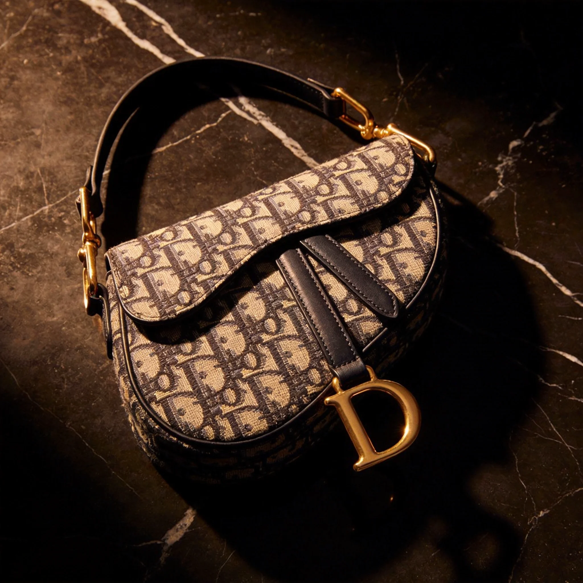 Dior Saddle Bag